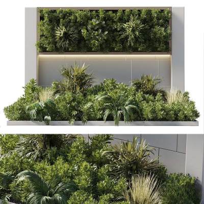 植物堆 绿植池 植物 绿植墙 景观绿植